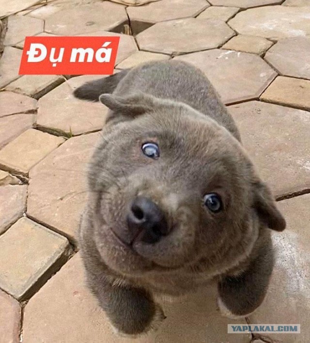 Кто это?