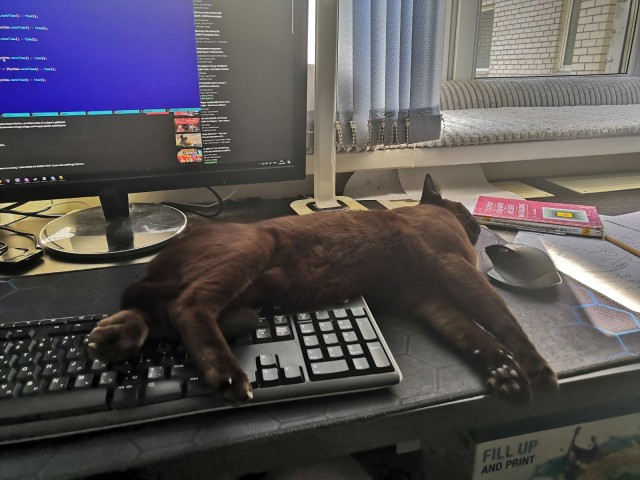 КотоФторник 23.08.22