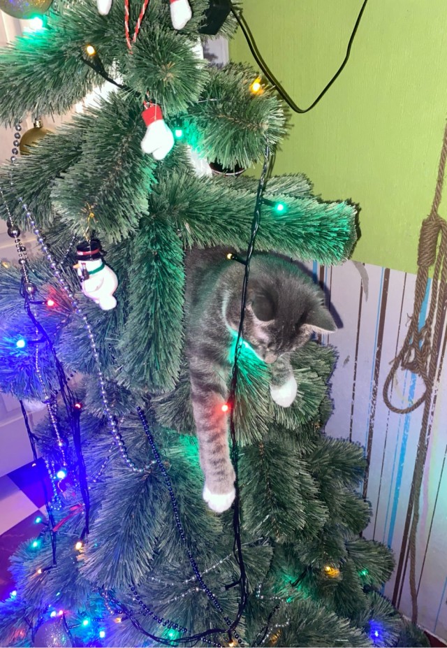 Новогодняя игрушка