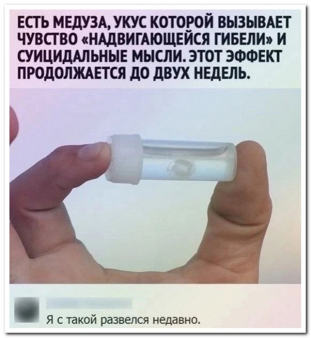 Забавные комментарии из социальных сетей 30.01.23