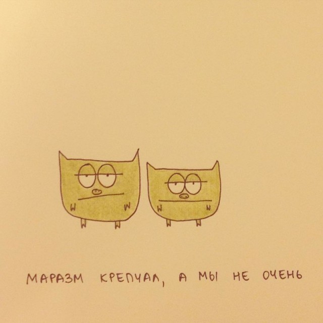 Бар который открыл барсук