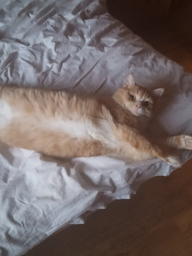 Вот