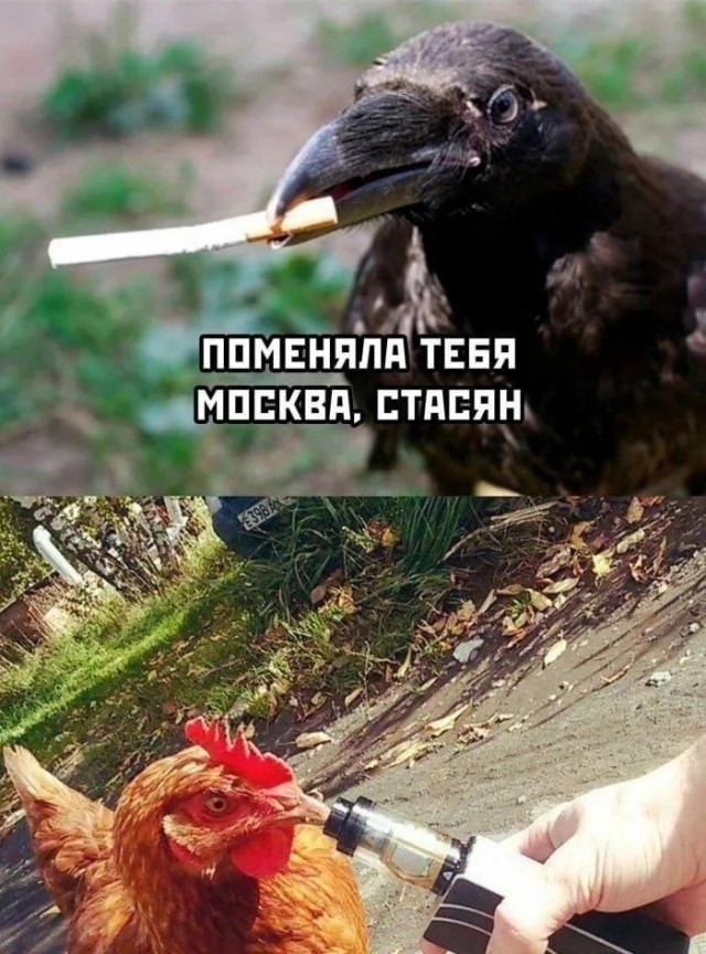 Так себе картинки 23.09.23