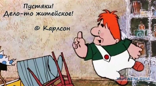 Это был не енот