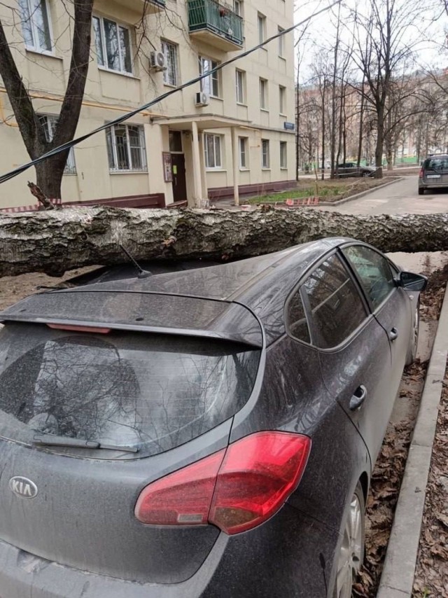 Жителям Москвы порекомендовали меньше находиться на улице – МЧС выпустило экстренное предупреждение об усилении ветра до 21 м/с