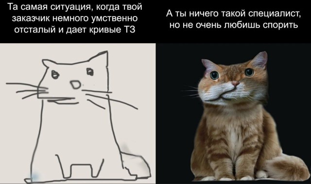 Весёлый полтишок 19.09.24