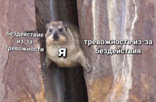Веселые картинки в понедельник (30.09)