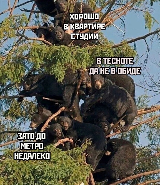 Так себе картинки 19.10.24