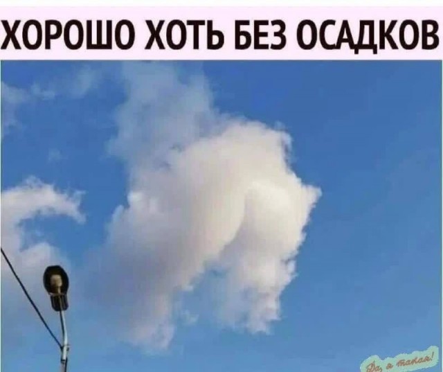Веселые картинки к понедельнику (18.11)