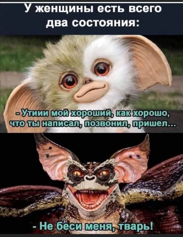 Завалялось тут случайно немного забавных картинок