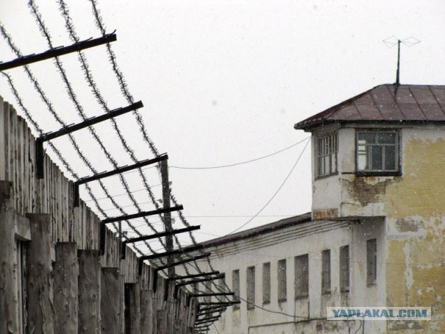 Тюремные люди. Крыса.