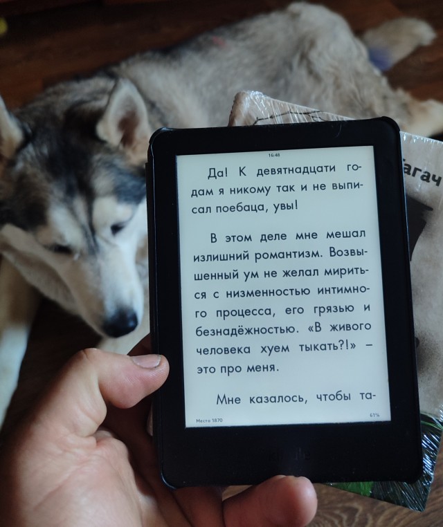 Алексей Гагач. Как стать никем. Апокалипсис по-питерски.