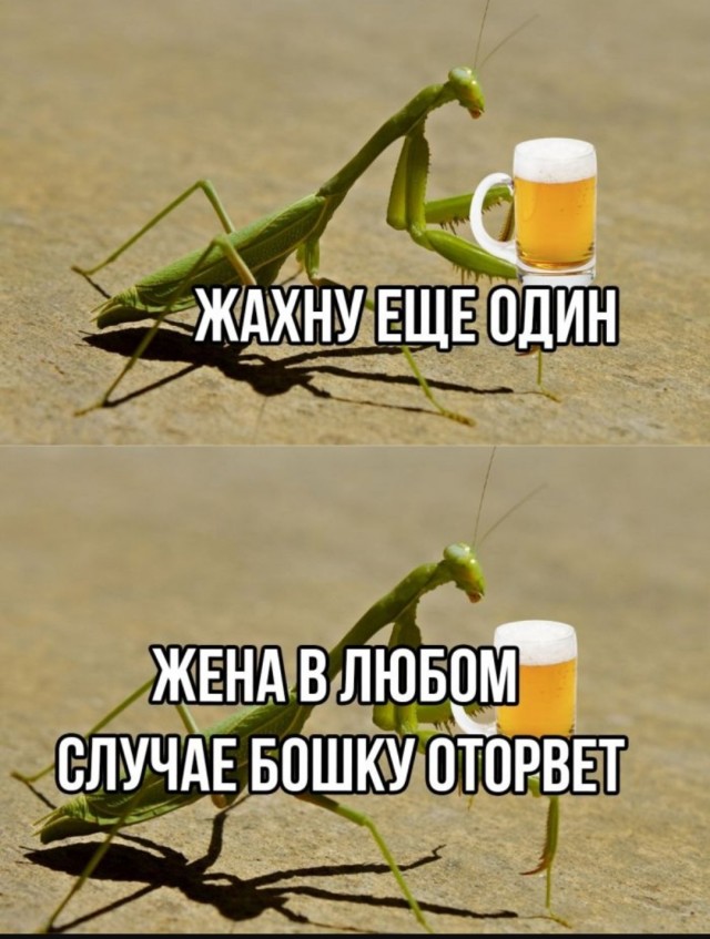 Веселое настроение в картинках (13.07.2025)