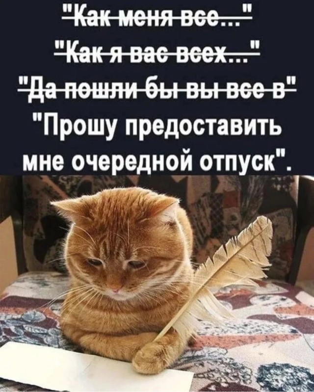 Завалялось тут случайно немного забавных картинок