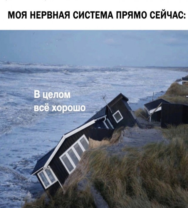 Веселые картинки в пятницу (25.07)