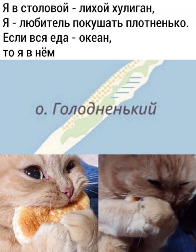 Так себе картинки 05.08.25
