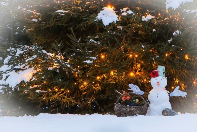 В России 31 декабря будет выходным днем