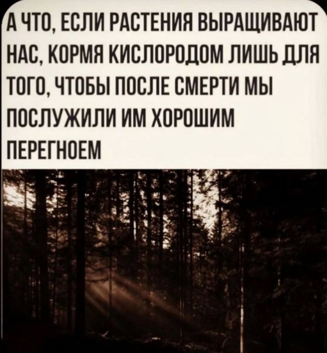 Доказательства, что наш Мир - это Тюрьма. А люди всего лишь зэки, которые мучаются свой срок