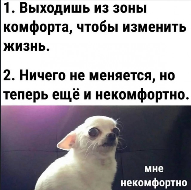 Розы гибнут на газонах...