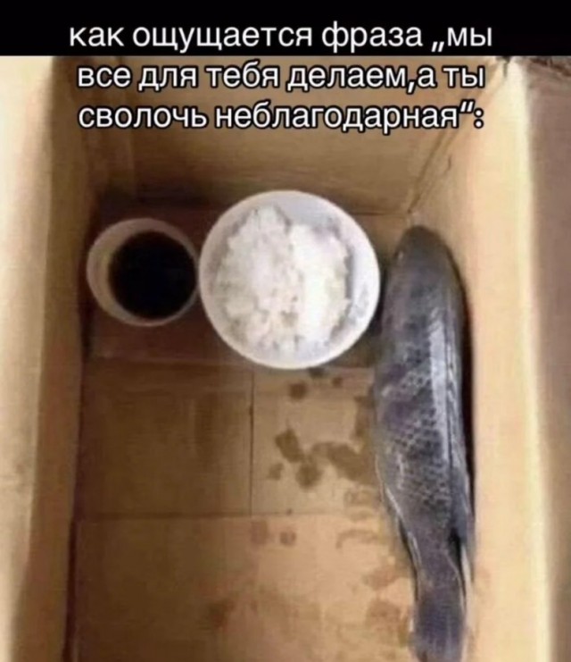 Пройдусь по абрикосовой, сверну не деградантную