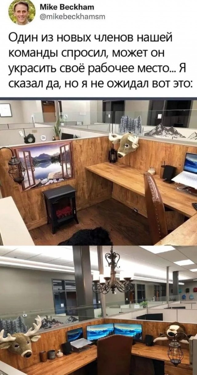 Веселые картинки в понедельник