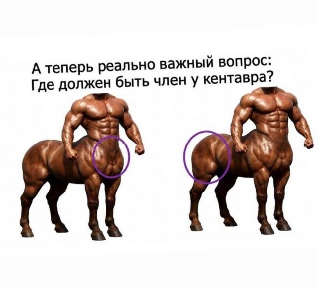 Картинки для деградации 144 (разной степени свежести)