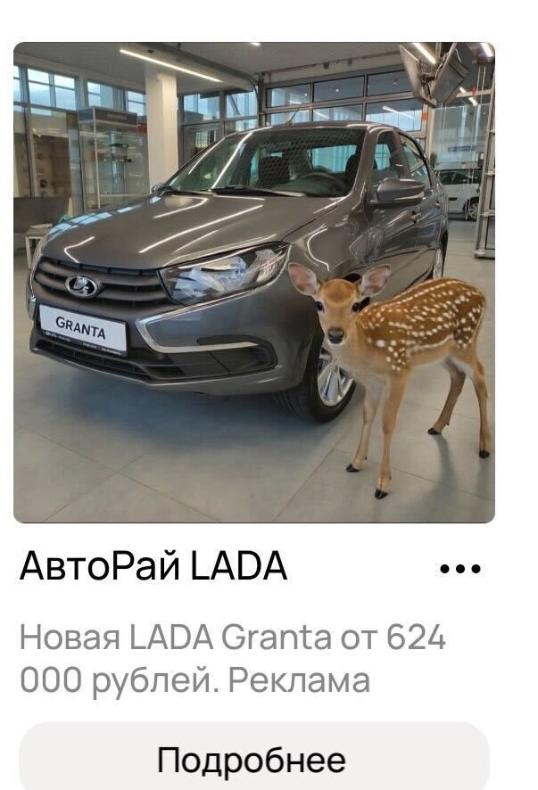 Реклама на авито