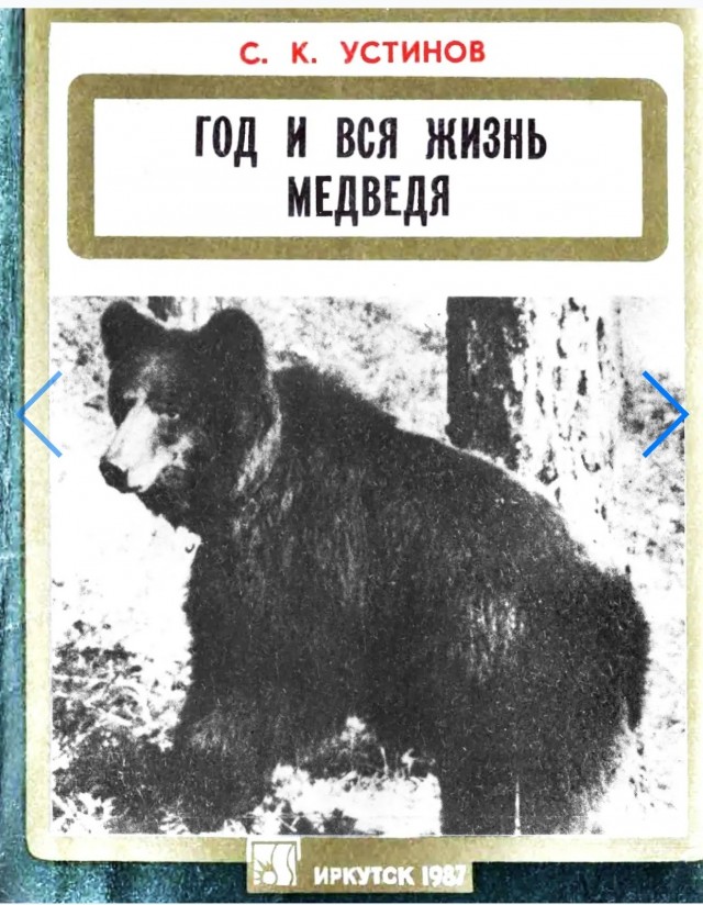 По следам темы про медведей.