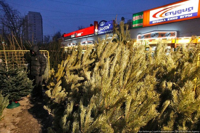 Предновогодняя Москва