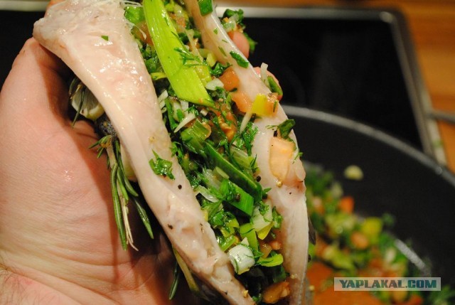 International одной книги., В память о Дженибеке.