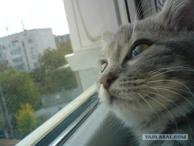 Мой вид из окна.