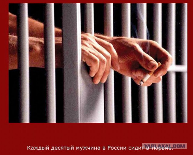 20 фактов обо всем
