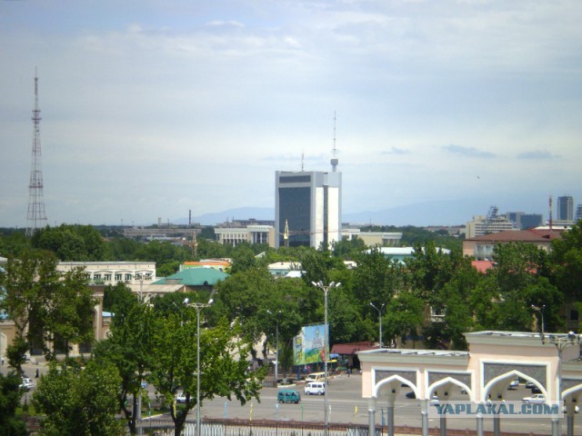 Хроники несожженного фотографа