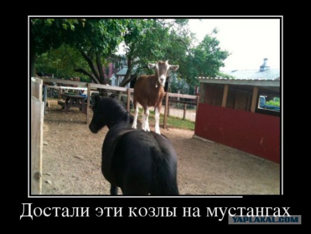 Влетел в автобус