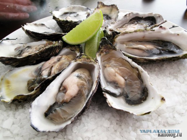 Рецепты с бодуна на завтра.Из разных стран