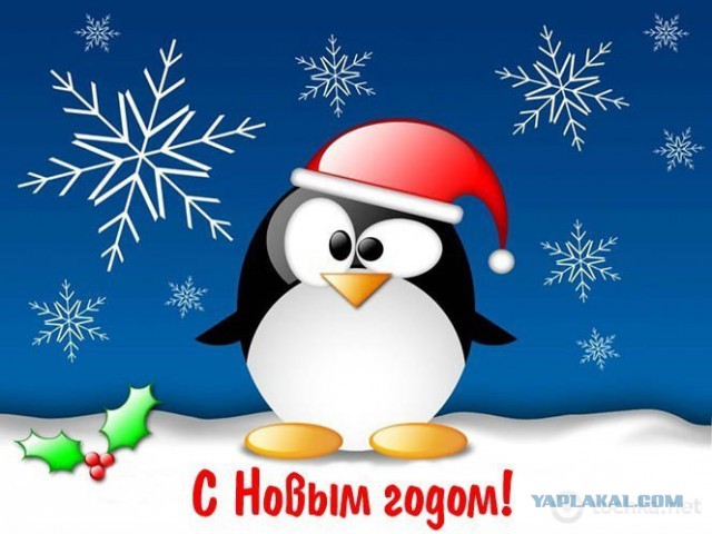 Лёха, вставай!