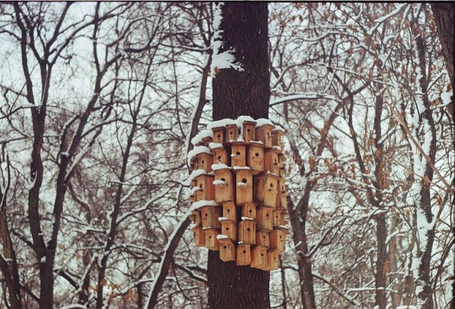 Подборка идиотских фотографий часть 3