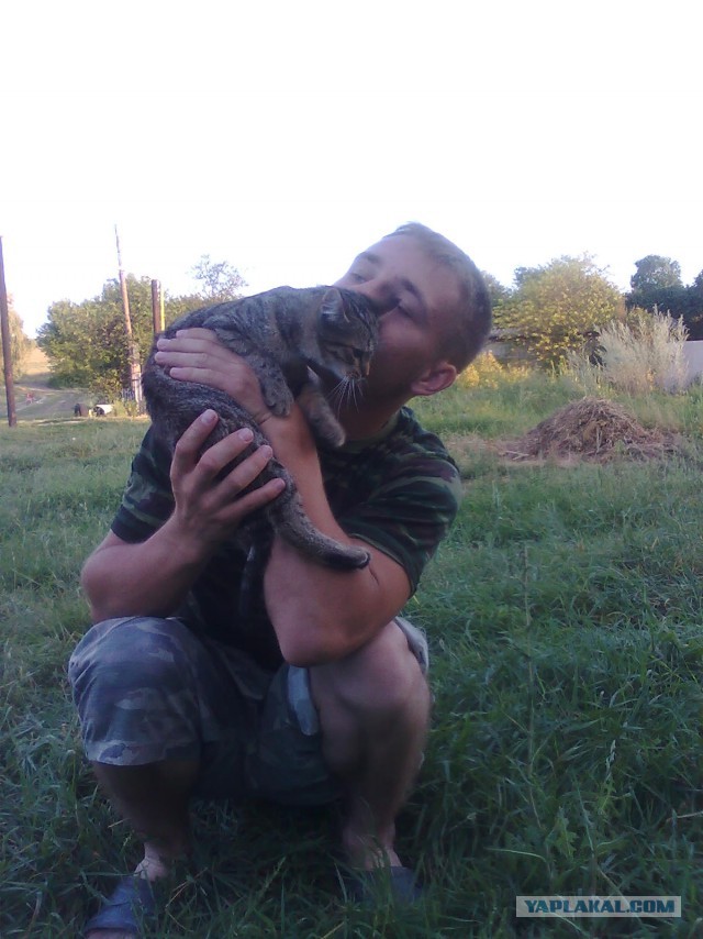 Котовторник 26.07 2016