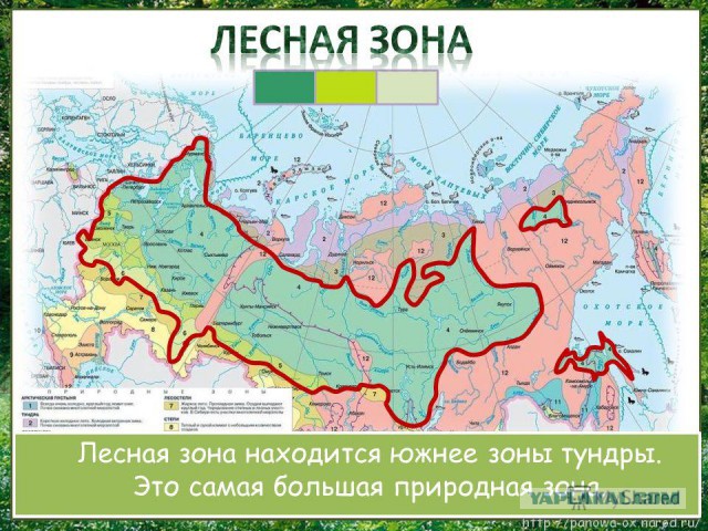 Предъявите билет: вход в природные парки по всей России предлагают сделать платным
