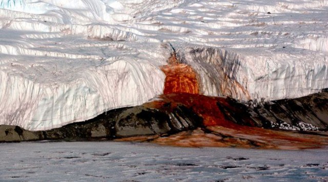 Что такого необычного нашли ученые в Антарктиде
