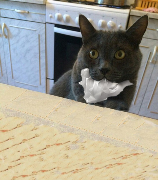 Забота