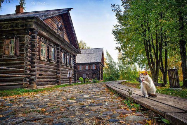 Смешные картинки