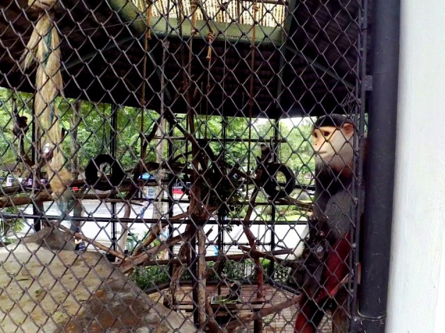 Полтора месяца безделья или "Первое семейное бюджетное путешествие"