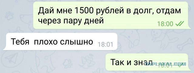 Смешные комментарии из социальных сетей 20.04.2018