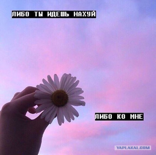 Вспоминая о лете