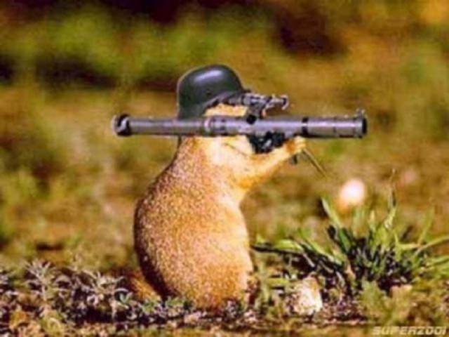 ШтурмбаннЁжег
