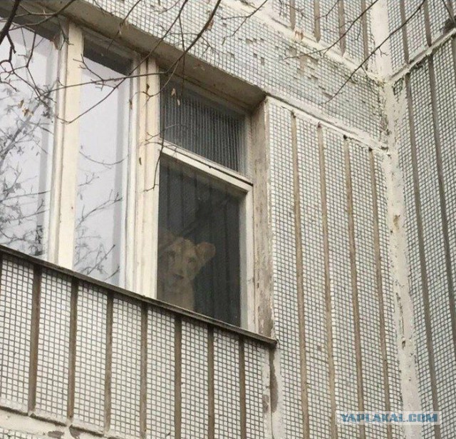 Подборка интересных и веселых картинок 14.04.19