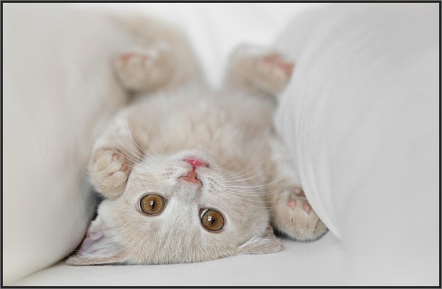 Аватары на заказ