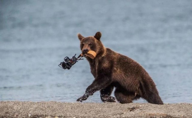 30 фотографий обо всём, которые сделают ваш день ярче, а улыбку шире