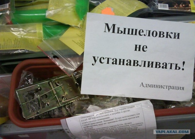Мышеловки не устанавливать!